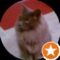 Cutie Hawk Avatar